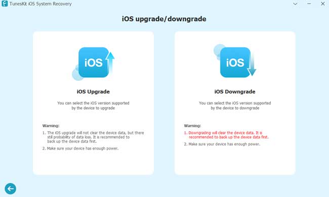 choisir la fonctionnalité de rétrograder ios