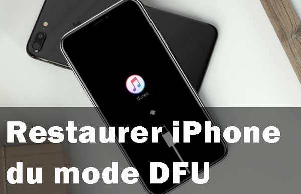 restaurer iphone à partir du mode dfu